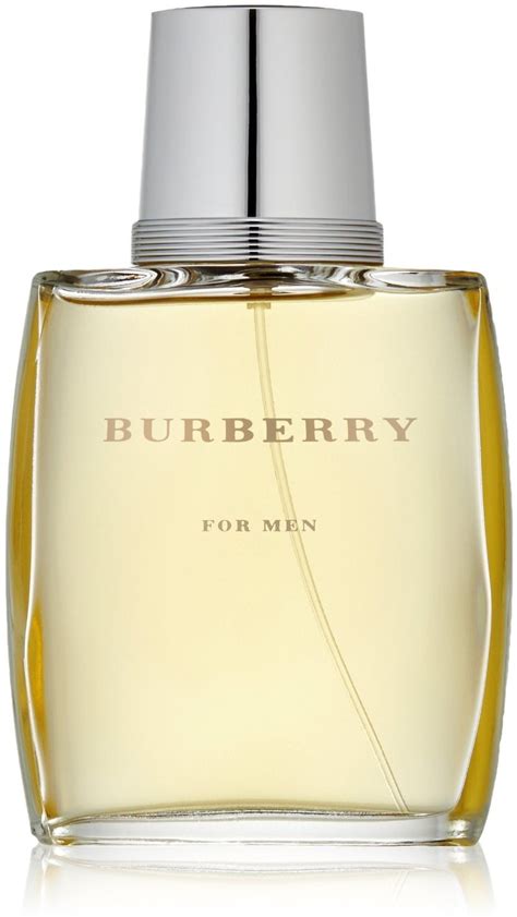 burberry cologne description|burberry cologne for men cheapest.